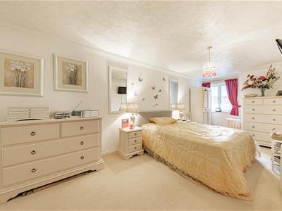 Picture 12